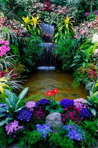 Fotooboi Cvety (101)